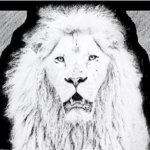 Meet your Posher, Lee